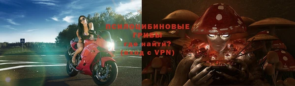 наркотики Заводоуковск