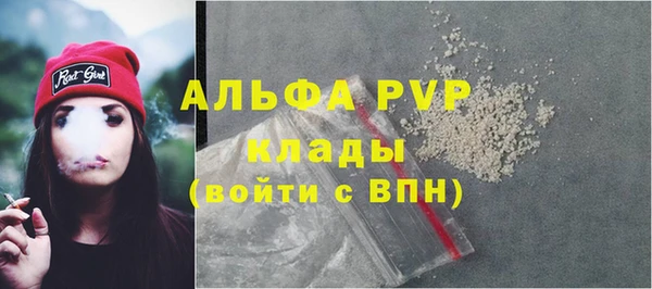 экстази Ельня