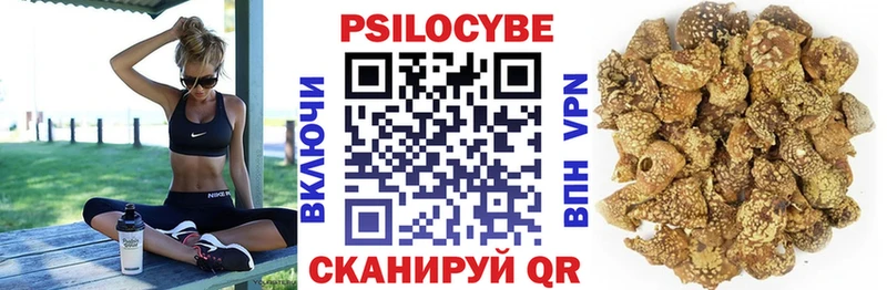 Галлюциногенные грибы Cubensis  Карпинск 